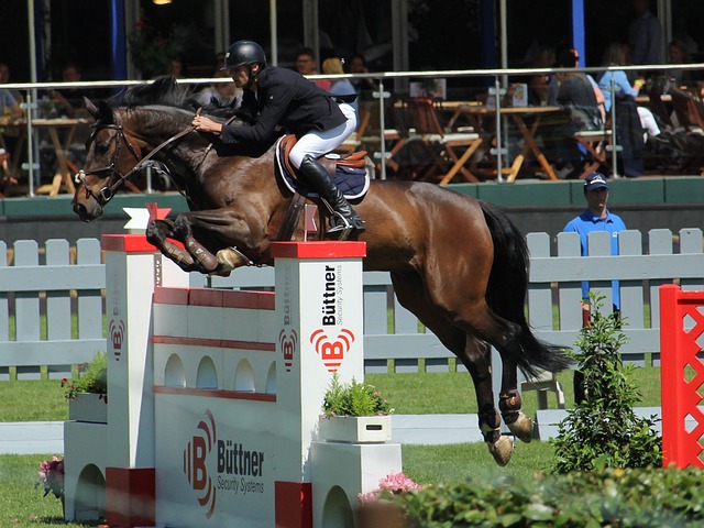 米体：国米已经将格伊视为补强防线的头号目标